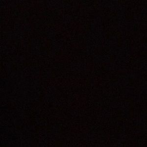 Meet your Posher, Evelyn